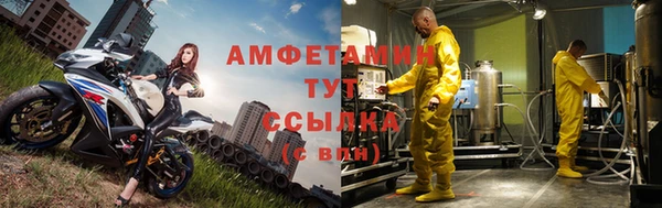 молекула духа Пересвет