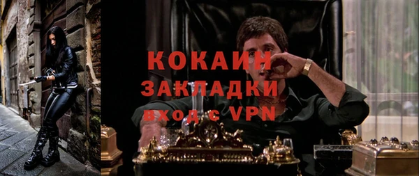 шишки Покровск
